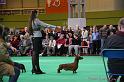 Crufts2011_2 1027